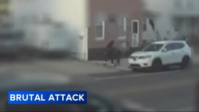 ‘Everybody is afraid to walk around’ ‘Everybody is afraid to walk around’