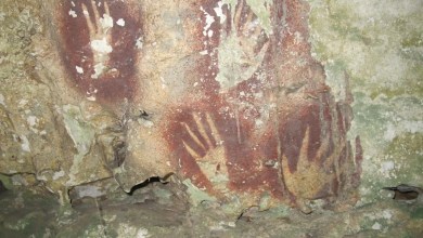 Indonesian handprints are the oldest cave art found yet Indonesian handprints are the oldest cave art found yet