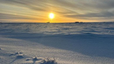 From record warming to rusting rivers, 2025 Arctic Report Card shows a region transforming faster than expected From record warming to rusting rivers, 2025 Arctic Report Card shows a region transforming faster than expected