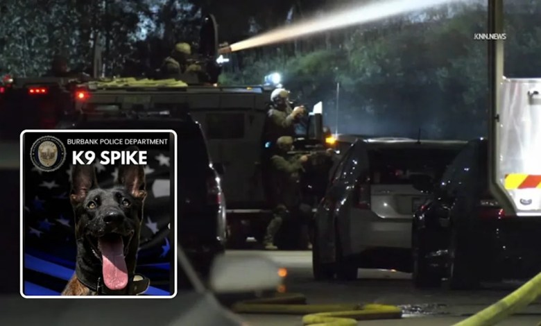 Burbank K-9 dead after being shot near 5 Freeway, suspect killed in shootout with police Burbank K-9 dead after being shot near 5 Freeway, suspect killed in shootout with police