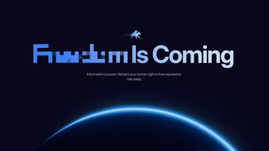 US website ‘freedom.gov’ will allow Europeans to view hate speech and other blocked content US website ‘freedom.gov’ will allow Europeans to view hate speech and other blocked content