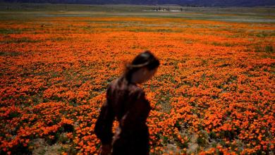 Welcome to allergy season. Here’s how to protect yourself Welcome to allergy season. Here’s how to protect yourself