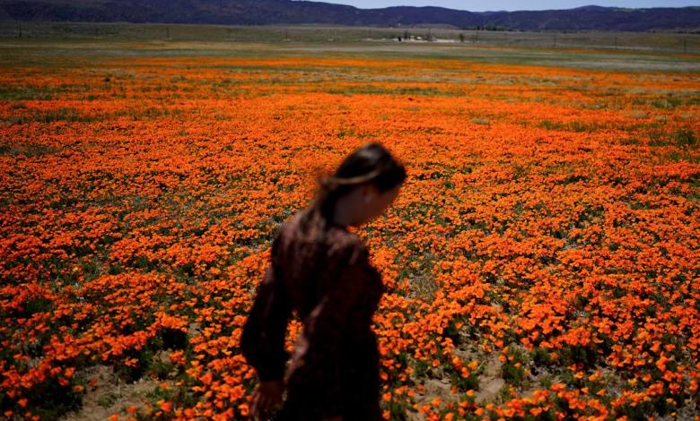 Welcome to allergy season. Here’s how to protect yourself Welcome to allergy season. Here’s how to protect yourself