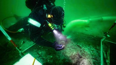 Researchers uncover Stone Age settlement submerged by rising sea levels in Denmark Researchers uncover Stone Age settlement submerged by rising sea levels in Denmark