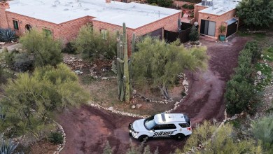 Genetic genealogy brings promise and challenges to the Nancy Guthrie case Genetic genealogy brings promise and challenges to the Nancy Guthrie case