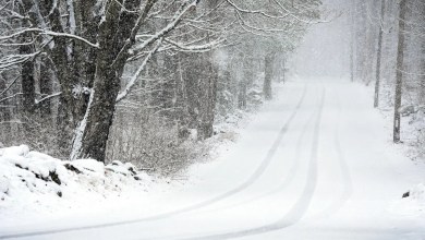 Healey’s supplemental budget includes millions for winter storm relief Healey’s supplemental budget includes millions for winter storm relief
