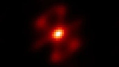 Astronomers capture close-up images of nova explosions on 2 dead stars in unprecedented detail Astronomers capture close-up images of nova explosions on 2 dead stars in unprecedented detail