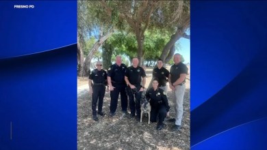 Fresno police officer, K-9 partner retire together after decorated careers Fresno police officer, K-9 partner retire together after decorated careers
