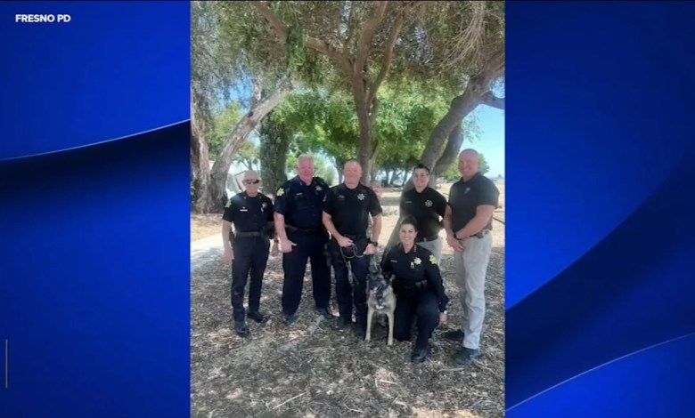 Fresno police officer, K-9 partner retire together after decorated careers Fresno police officer, K-9 partner retire together after decorated careers
