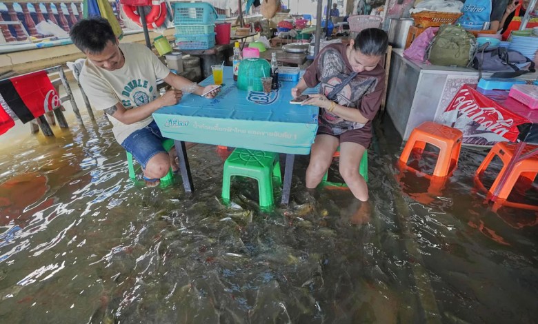 A flooded restaurant in Thailand brings delight with swimming fish among diners A flooded restaurant in Thailand brings delight with swimming fish among diners