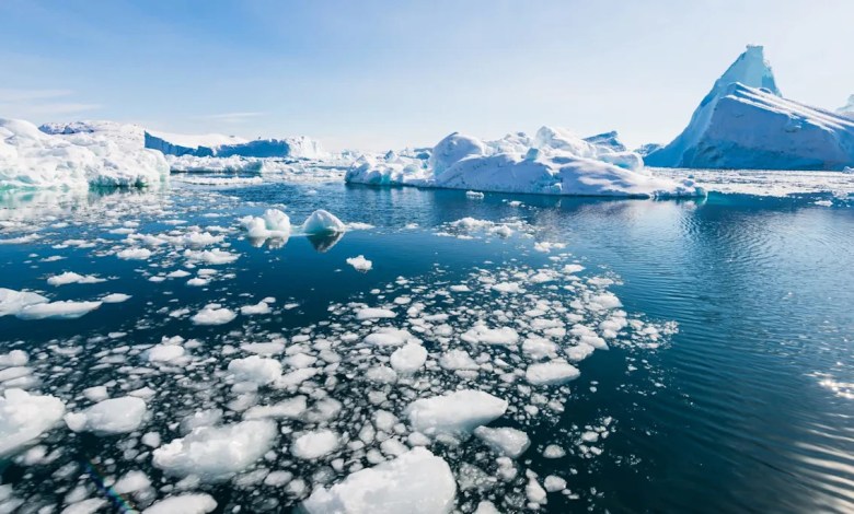 Scientists issue warning after making grim Arctic discovery — here’s what you need to know Scientists issue warning after making grim Arctic discovery — here’s what you need to know