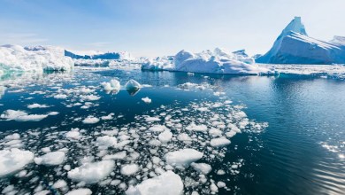 Scientists issue warning after making grim Arctic discovery — here’s what you need to know Scientists issue warning after making grim Arctic discovery — here’s what you need to know