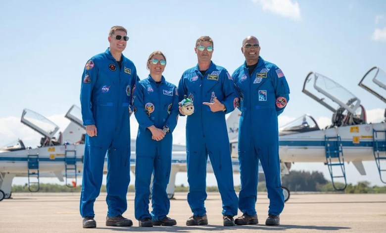 Artemis 2 astronauts reveal adorable zero-g indicator ‘Rise’ Artemis 2 astronauts reveal adorable zero-g indicator ‘Rise’
