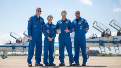 Artemis 2 astronauts reveal adorable zero-g indicator ‘Rise’ Artemis 2 astronauts reveal adorable zero-g indicator ‘Rise’