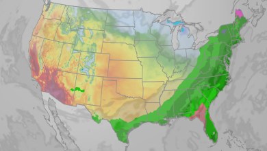 Wet East, Chilly Midwest, Nice West Wet East, Chilly Midwest, Nice West
