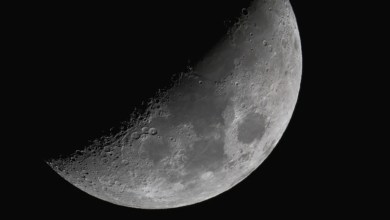 See the moon shine with Saturn in the southern sky after sunset Dec. 26 See the moon shine with Saturn in the southern sky after sunset Dec. 26