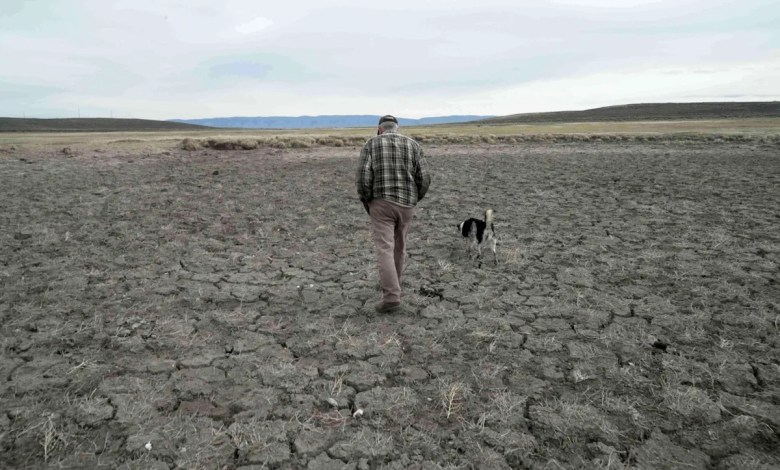 Record US drought sparks worries about fires, water supply and food prices Record US drought sparks worries about fires, water supply and food prices