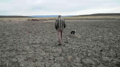 Record US drought sparks worries about fires, water supply and food prices Record US drought sparks worries about fires, water supply and food prices