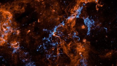 These ‘interstellar glaciers’ could give water to young star systems. Could they support alien life, too? These ‘interstellar glaciers’ could give water to young star systems. Could they support alien life, too?
