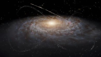 Dozens of hidden star streams found in the outskirts of our Milky Way galaxy Dozens of hidden star streams found in the outskirts of our Milky Way galaxy