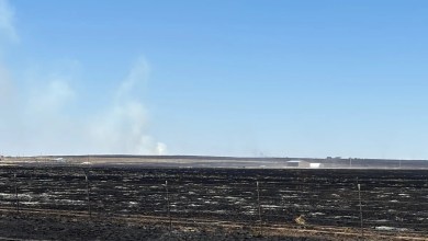 Wildfire in Randall County spreading rapidly Friday Wildfire in Randall County spreading rapidly Friday