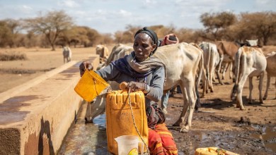 The world is in water bankruptcy, UN scientists report – here’s what that means The world is in water bankruptcy, UN scientists report – here’s what that means