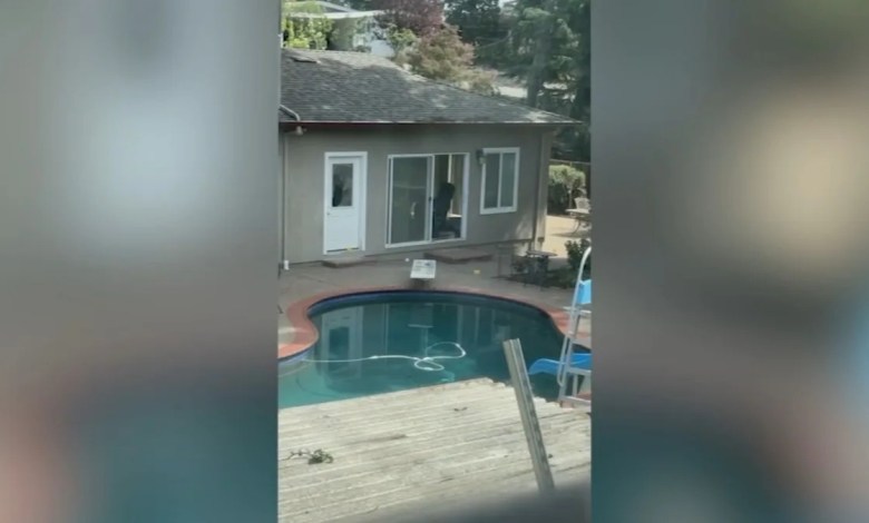 Lafayette homicide victim ID’d, suspect in custody as bizarre Facebook post surfaces Lafayette homicide victim ID’d, suspect in custody as bizarre Facebook post surfaces