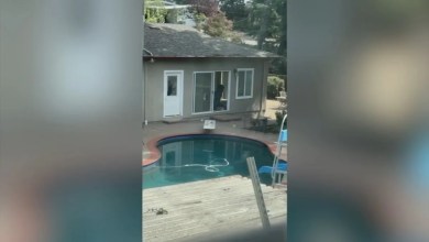 Lafayette homicide victim ID’d, suspect in custody as bizarre Facebook post surfaces Lafayette homicide victim ID’d, suspect in custody as bizarre Facebook post surfaces