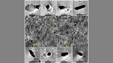 Evidence of ancient life on Mars could be hidden away in colossal water-carved caves Evidence of ancient life on Mars could be hidden away in colossal water-carved caves