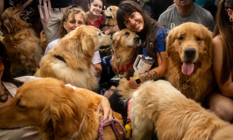 Open Thread: May 24, 2026 Open Thread: May 24, 2026