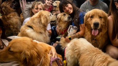 Open Thread: May 24, 2026 Open Thread: May 24, 2026