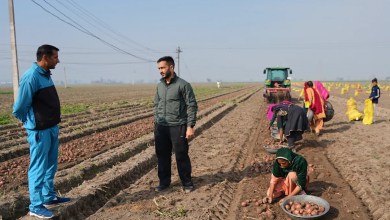 From automated farm tractors to exam paper grading, AI boosts efficiency for some in India From automated farm tractors to exam paper grading, AI boosts efficiency for some in India