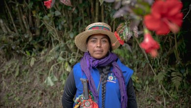 Violent guerrillas are taking Colombia’s children. Unarmed Indigenous groups are confronting them Violent guerrillas are taking Colombia’s children. Unarmed Indigenous groups are confronting them