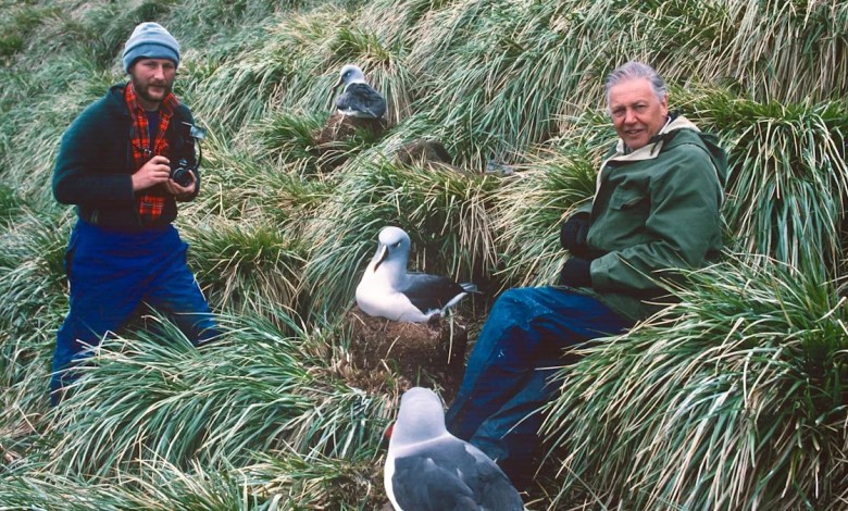 Photographer’s Sir David Attenborough memories Photographer’s Sir David Attenborough memories