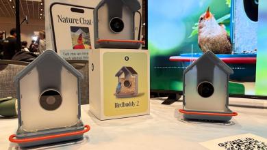 Birdbuddy’s new smart bird feeder can ID birds by their songs Birdbuddy’s new smart bird feeder can ID birds by their songs