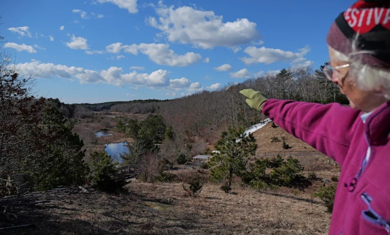 How a retired cranberry bog helped change the game for wetland restoration How a retired cranberry bog helped change the game for wetland restoration