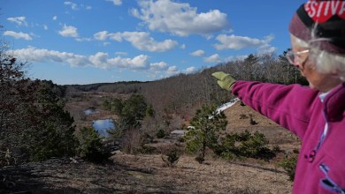 How a retired cranberry bog helped change the game for wetland restoration How a retired cranberry bog helped change the game for wetland restoration
