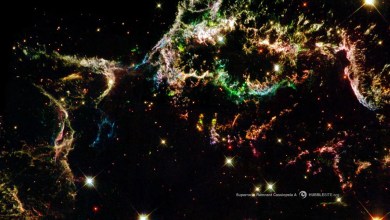 A ‘cosmic clock’ in tiny crystals has revealed the rise and fall of Australia’s ancient landscapes A ‘cosmic clock’ in tiny crystals has revealed the rise and fall of Australia’s ancient landscapes