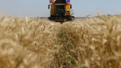 Ukraine asks Israel to seize ship carrying grain ‘stolen’ by Russia Ukraine asks Israel to seize ship carrying grain ‘stolen’ by Russia