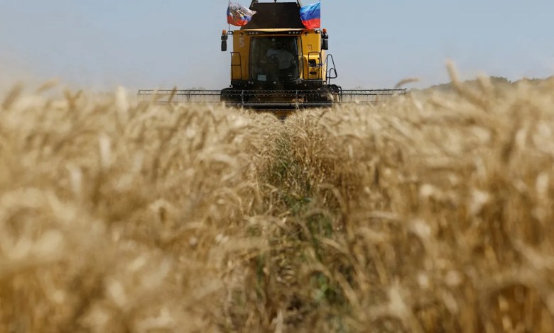 Ukraine asks Israel to seize ship carrying grain ‘stolen’ by Russia Ukraine asks Israel to seize ship carrying grain ‘stolen’ by Russia