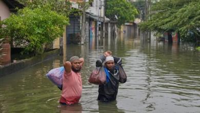 Ocean warmed by climate change fed intense rainfall and deadly floods in Asia, study finds Ocean warmed by climate change fed intense rainfall and deadly floods in Asia, study finds