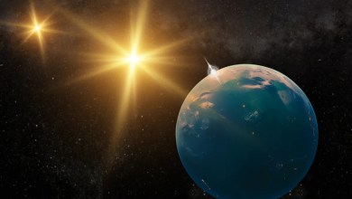 ‘Exactly how it works is still uncertain’ ‘Exactly how it works is still uncertain’