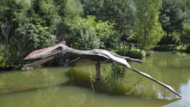 Giant ‘toothed’ birds flew over Antarctica 40 million to 50 million years ago Giant ‘toothed’ birds flew over Antarctica 40 million to 50 million years ago
