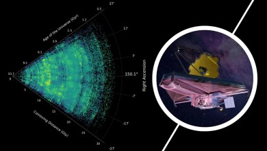 JWST maps universe’s largest structure in great our detail JWST maps universe’s largest structure in great our detail