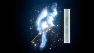 Scientists found stardust trapped in Antarctic ice. What could it tell us about our solar system? Scientists found stardust trapped in Antarctic ice. What could it tell us about our solar system?