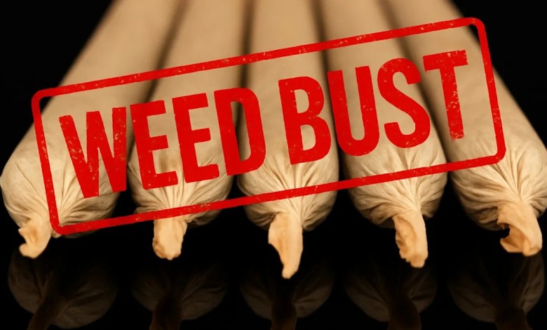 These 5 N.J. smoke shops were just ordered to shut down in city’s cannabis crackdown These 5 N.J. smoke shops were just ordered to shut down in city’s cannabis crackdown