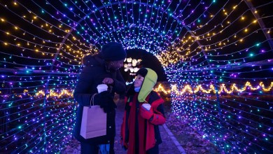 10 of the best Christmas light displays in Mass., including one on Cape Cod 10 of the best Christmas light displays in Mass., including one on Cape Cod