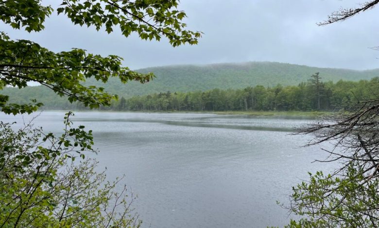 If it feels like times are tough in New Hampshire, maybe you’re just reading the wrong lists If it feels like times are tough in New Hampshire, maybe you’re just reading the wrong lists