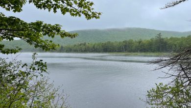 If it feels like times are tough in New Hampshire, maybe you’re just reading the wrong lists If it feels like times are tough in New Hampshire, maybe you’re just reading the wrong lists