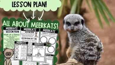 A Free Unit Plan for Kids A Free Unit Plan for Kids